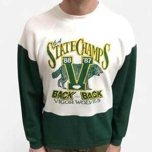 Vintage 80s Vigor Wolves State Champs Colorblock Crewneck Sweatshirt Pannill XL